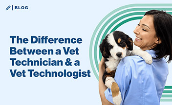 兽医技术人员抱着黑白相间的小狗，蓝色背景上写着“兽医技术人员和兽医技术专家之间的区别”。